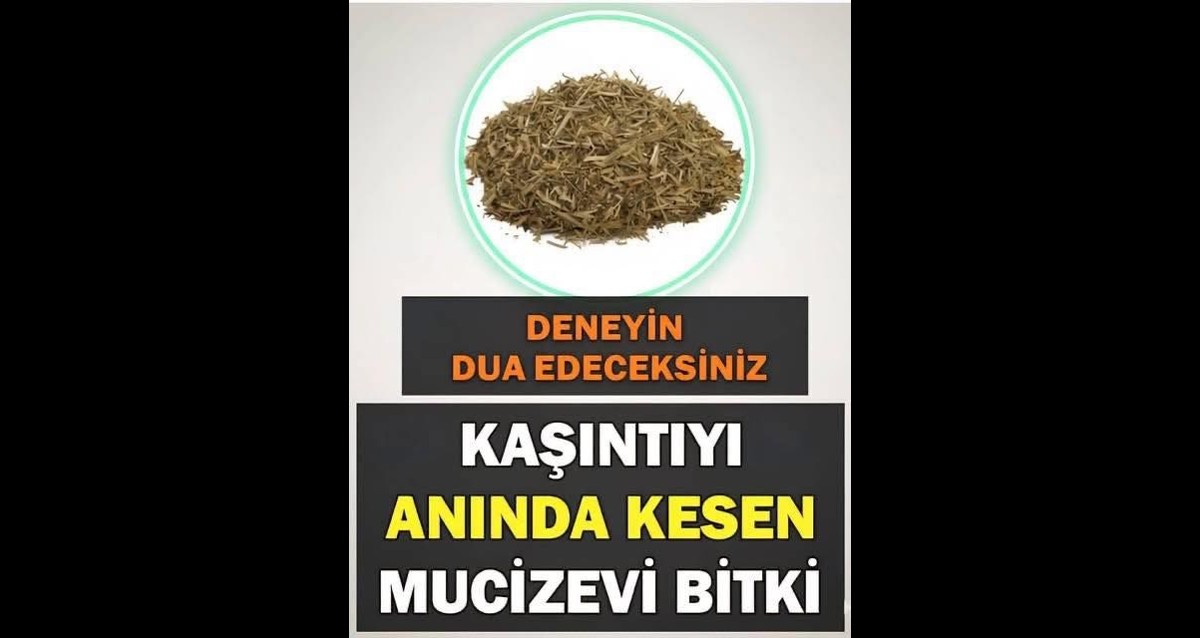 Kunc Kesen Shablon Kaşıntıyı Kesen Mucizevi Bitki.